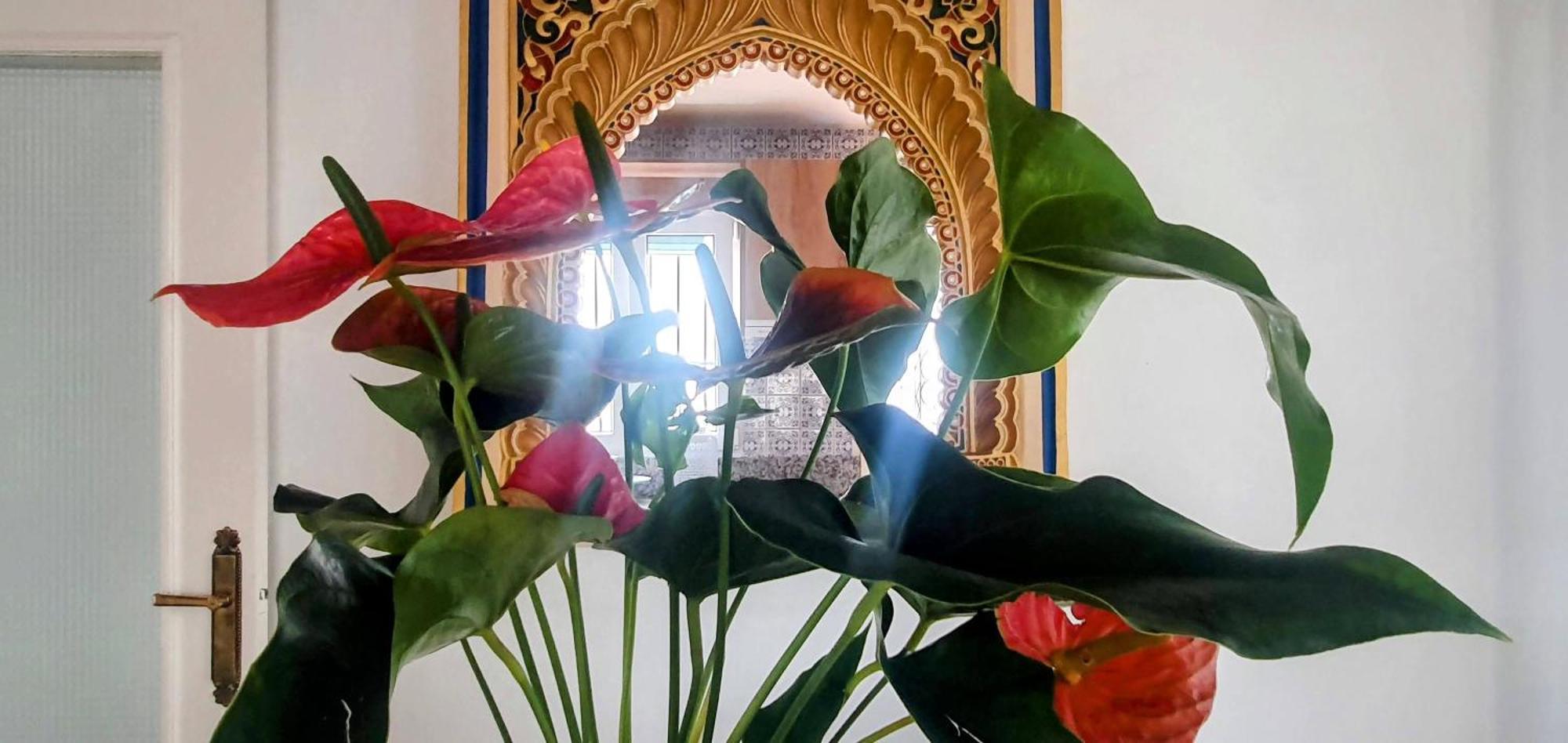 فيلا La Casilla Cájar المظهر الخارجي الصورة